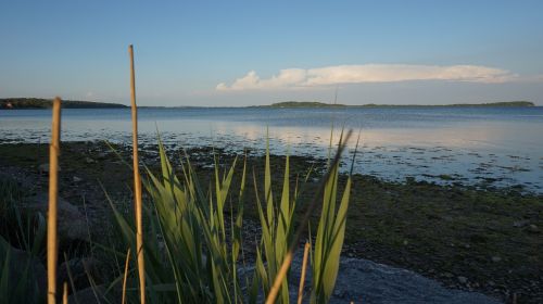 Rügen, Jūra, Vokietija, Mėlynas