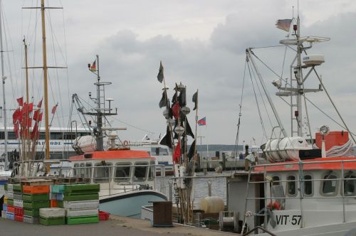 Rügen Sala, Žvejybos Uostas, Žvejybos Laivai, Žvejyba, Tinklai, Dėžės, Jūra, Burlaiviai