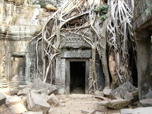 Sugadinti, Šventykla, Kambodža, Pasibaigė, Angkor Wat, Džiunglės, Pasaulinis Paveldas