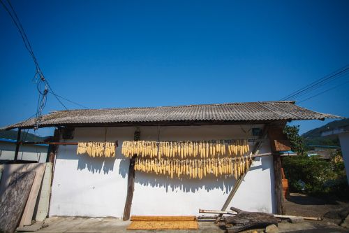 Kaimas, Kukurūzai, Kraštovaizdis, Korėjos Kaimas