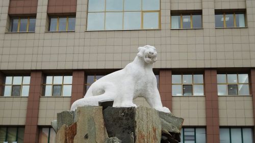 Rusija, Tatarstanas, Kazan, Architektūra, Paminklas, Leopardas, Baltas Leopardas, Ak Barai, Gyvūnai