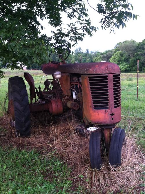 Tręštas Rūdytas Traktorius, Ganykla, Ūkis, Kaimas, Žemdirbystė, Pietų Karolina