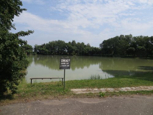 Tvenkinys,  Zasadnik,  Vandens,  Apmąstykite