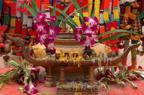 Auka, Budizmas, Orchidėja, Tailandas
