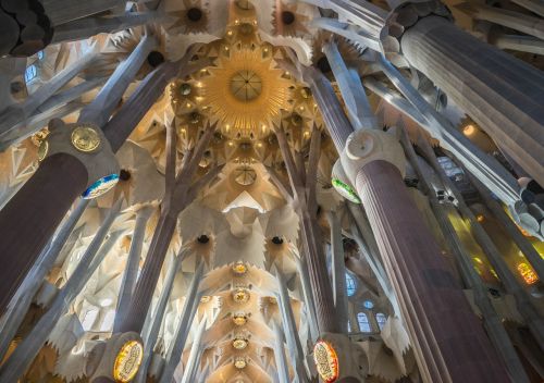 Sagrada Familia Katedra, Barcelona, Architektūra, Bažnyčia, Žinomas, Religija, Katalikybė, Orientyras, Ispanija, Gotika, Statyba, Europa, Krikščionybė, Interjeras, Lubos