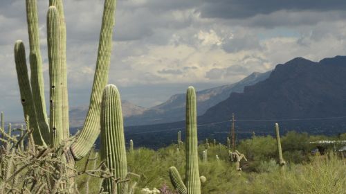 Saguaro, Arizona, Kraštovaizdis, Kaktusai, Dangus, Rainstorm, Debesys