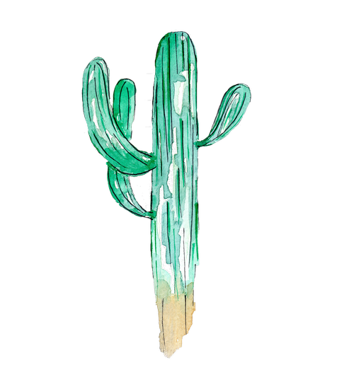 Saguaro Kaktusai,  Kaktusas,  Akvarelė,  Augalų,  Sukulentai,  Žalias,  Tapyba,  Natūralus,  Sultinga,  Paviršutiniškas,  Nemokama Iliustracijos