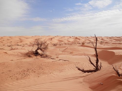 Sahara, Dykuma, Tunisas