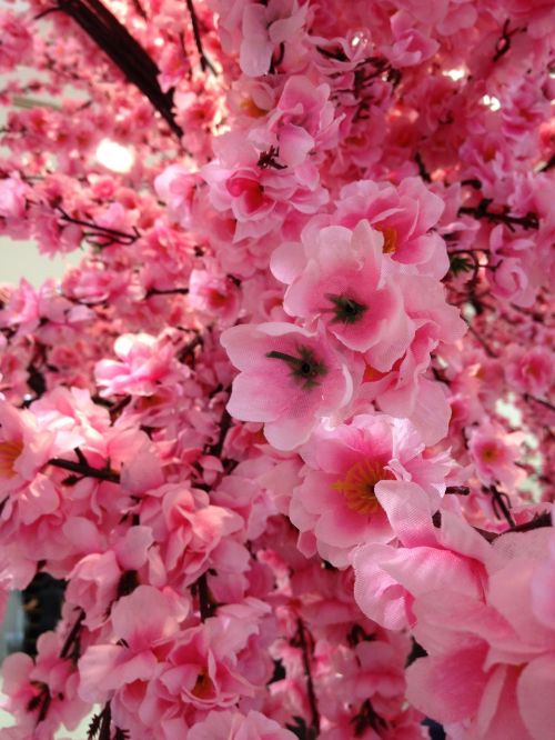 Sakura, Netikrą, Gėlės, Rožinis, Žiedas, Gėlių, Dirbtinis, Vyšnia