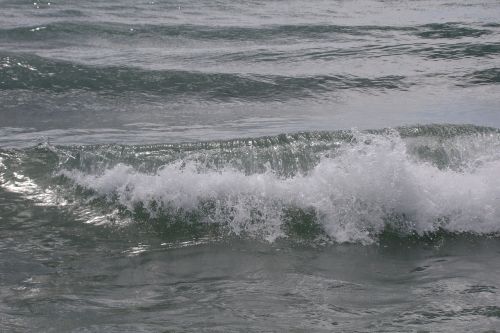 Bangos, Puiku, Vėjas, Druska