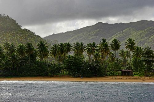 Samana,  Dominican,  Respublika,  Tvirtinimas,  Samana Paplūdimys