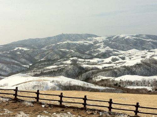 Samyang Ranch, Gangwon Do, Sniegas, Žiema