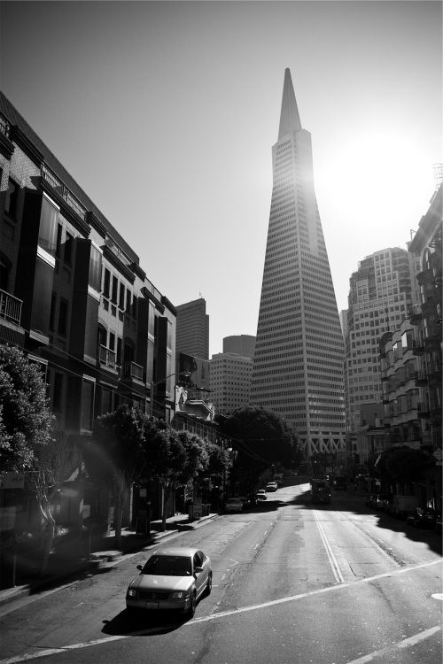 San Franciskas, Miestas, Pastatai, Architektūra, Gatves, Keliai, Automobiliai, Bokštai, Dangoraižiai, Juoda Ir Balta