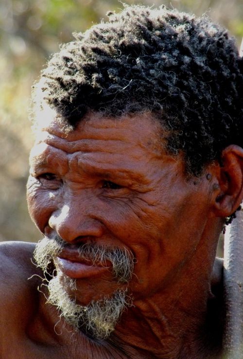 San Man, Bushman, Senas Vyras, Raukšlėtas, Namibija