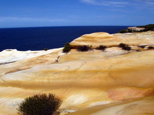 Smiltainis, Vandenynas, Sidnėjus, Jūra, Kraštovaizdis, Australia, Kranto, Mėlynas, Parkas, Pakrantė