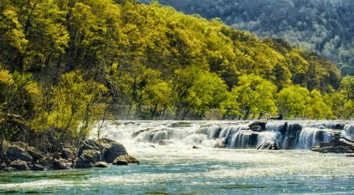 Smiltainis Patenka, Krioklys, Kraštovaizdis, Vaizdingas, Srautas, Teka, Kaskados, Miškai, Appalachia, Medžiai, Dykuma, Gamta, Panorama, Naujas Richmondas, Nauja Upė Patenka