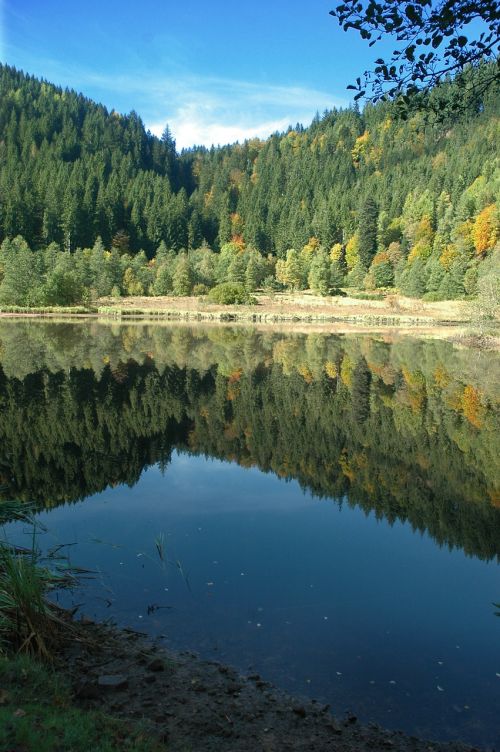 Sankenbachsee, Ežeras, Waldsee, Baiersbronn, Juodasis Miškas, Lake Carezza, Ruduo, Vanduo