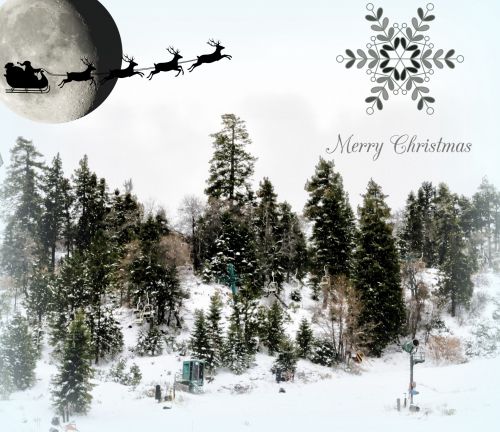 Kalėdos,  Xmas,  Pilnas & Nbsp,  Mėnulis,  Santa,  Santa & Nbsp,  Claus,  Miškas,  Pušis & Nbsp,  Medžiai,  Žiema,  Sniegas,  Sezoninis,  Santa Rogės Ir Pilnas Mėnulis