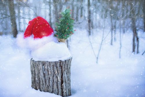 Santa Skrybėlė, Sniegas, Žiema, Kalėdos, Santa, Skrybėlę, Xmas, Laimingas, Šventė, Apdaila, Claus, Gruodžio Mėn ., Linksmas, Sezonas, Raudona, Tradicija