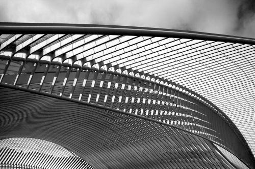 Santiago Calatrava, Architektas, Traukinių Stotis, Liège, Kamštienos Guillemins, Traukinių Stotis, Architektūra
