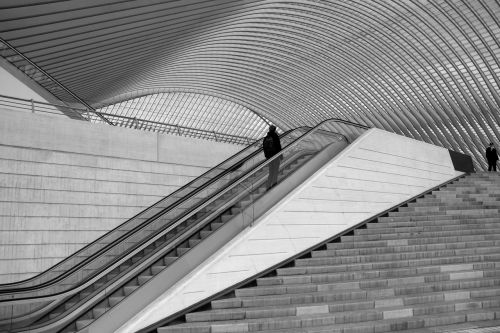 Traukinių Stotis, Liège, Guillemins, Architektūra, Belgija, Stotis, Kalatrava, Pagal Santiago Calatrava