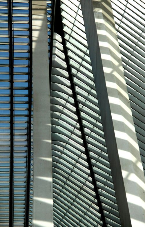Santiago Calatrava, Architektūra, Liège, Traukinių Stotis, Kamštienos Guillemins, Kalatrava, Belgija