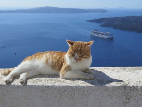 Santorini, Katė, Kruizas, Viduržemio Jūros, Graikija