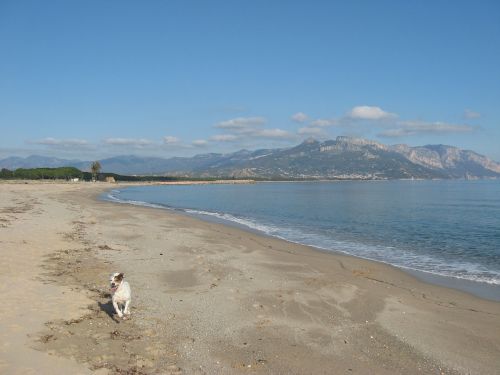 Sardinija, Jūra, Papludimys