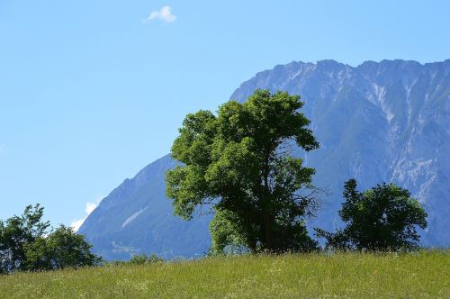 Sautens, Kalnai, Alpių, Vaizdas, Alm, Oetztalas, Gamta, Austria, Tyrol, Tirolo Alpės, Pieva