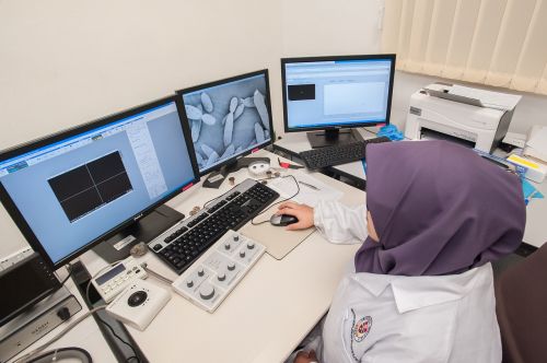 Skenuojantis Elektroninis Mikroskopas, Universiti Malaysia Sabah, Biotechnologijų Tyrimų Institutas