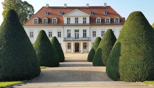 Schloss Wackerbarth, Vynuogių Auginimas, Saksonija, Radebeul