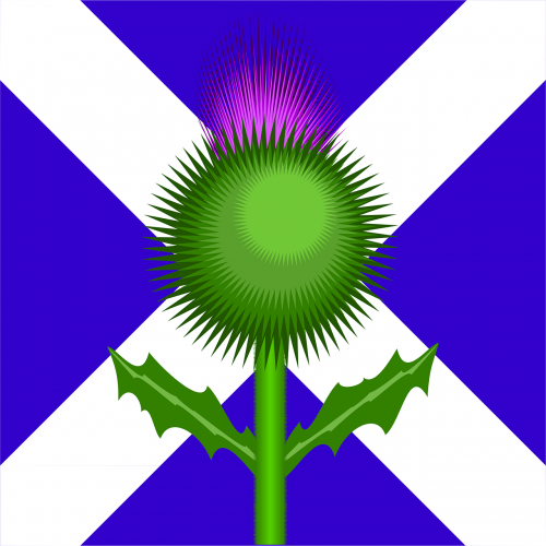 Škotija, Škotų, Vėliava, Drakonas, Nemokama Vektorinė Grafika