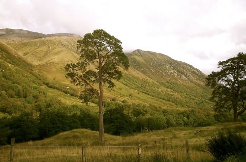 Škotija, Aukštumų Ir Salų, Gamta, Medis, Kalnai, Kraštovaizdis