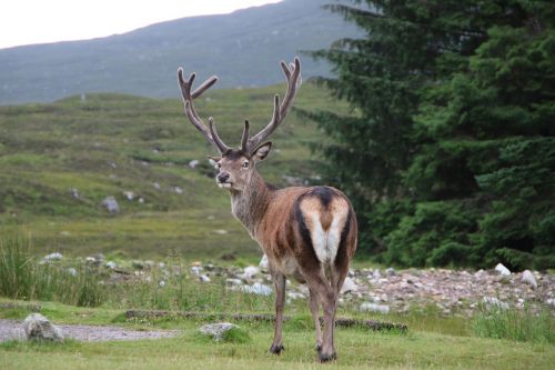 Škotija, Glencoe, Ežeras