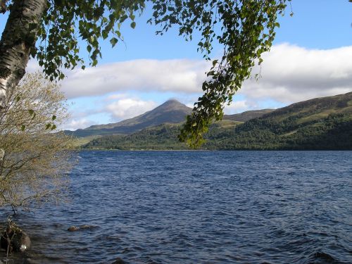 Škotija,  Kraštovaizdis,  Kalnas,  Medžiai,  Vaizdingas,  Highland,  Loch