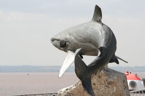 Pilkųjų Rifų Ryklys, Skulptūra, Ryklys, Žuvis, Gyvūnas, Statula, Upės Korpusas, Anglija