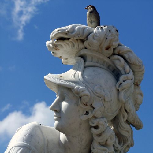 Skulptūra, Statula, Park Sanssouci, Minerva, Išminties Deivė, Galva, Paukštis, Potsdamas