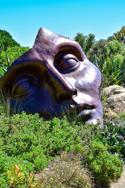 Skulptūra,  Gamta,  Menas,  Veidas,  Pietų Afrika,  Paslėptas Slėnio Vynuogynas,  Be Honoraro Mokesčio