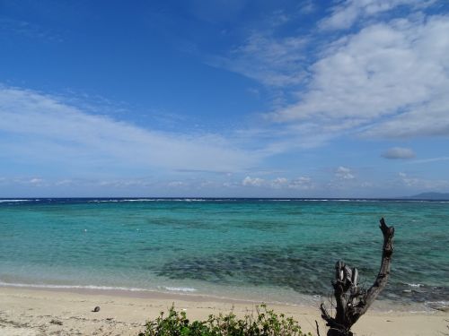 Jūra, Ishigaki Sala, Okinawa, Jūros Dugnas, Horizontas, Dienos Šviesa