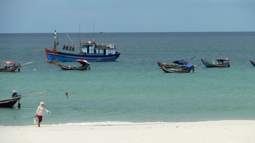 Jūra,  Žuvis,  Mėlyna,  Vietnamas