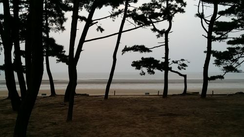 Jūra, Mongsanpo, Maudyklos Paplūdimys, Korėjos Respublika