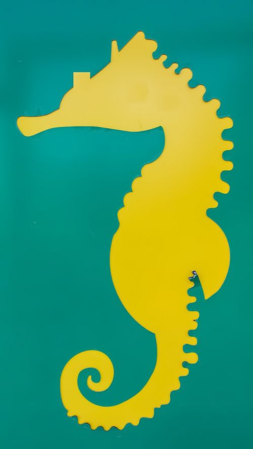 Jūrų Arklys, Hippocampus, Gatvės Menas, Jūros Būtybė, Žalias, Geltona