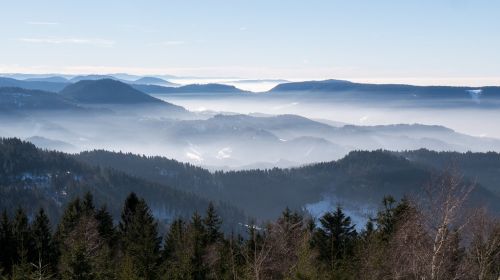 Jūros Rūkas, Nebellandschaft, Juodasis Miškas, Rūkas, Vosges, Kalnų