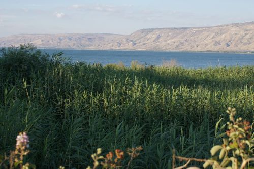 Galilėjos Jūra, Ežeras, Nendrė, Izraelis, Nuotaika, Vanduo, Kraštovaizdis, Galilėja