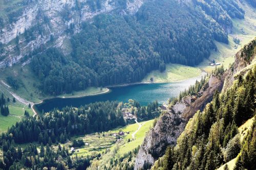 Seealpsee, Panorama, Swiss Alps, Ežeras, Kalnai, Miškai, Appenzell, Šveicarija