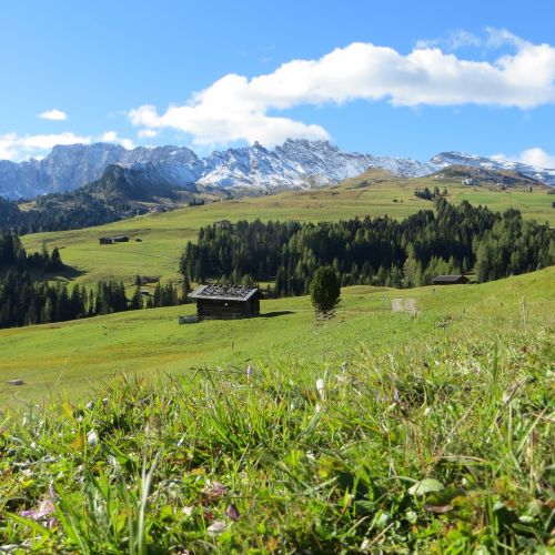 Stover Alm, South Tyrol, Dolomitai