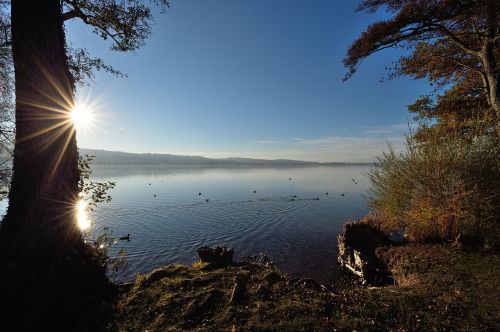 Sempachersee,  Saulėlydis,  Gamta,  Aušra,  Vandenys,  Be Honoraro Mokesčio