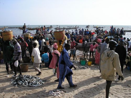 Senegalas, Žvejyba, Žuvis, Papludimys, Smėlis, Žvejai, Afrika, Jūra, Kanoją