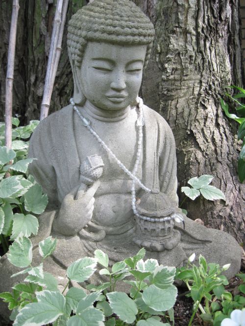 Buda,  Budizmas,  Meditacija,  Joga,  Japonija,  Kinija,  Asija,  Dharma,  Ramybės Buda