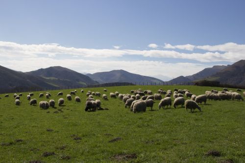 Avys, Baskų Kraštas, Kalnas